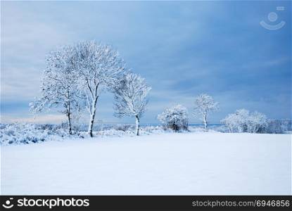 Beautiful and bright snow covered landscape at the swedish island Oland