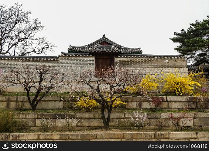Beautiful and colorful in spring season at traditional Korean garden in Changgyeonggung Palace . Seoul,South Korea.