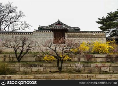 Beautiful and colorful in spring season at traditional Korean garden in Changgyeonggung Palace . Seoul,South Korea.