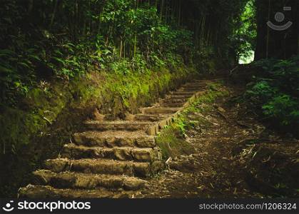 Beautiful and natural stairs going to a light in the forest near Honolulu, US. Rock and mud stairs going to the light in a forest near Honolulu, US