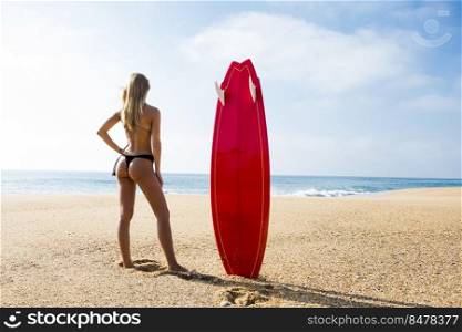 Beautiful and sexy surfer girl checking the waves