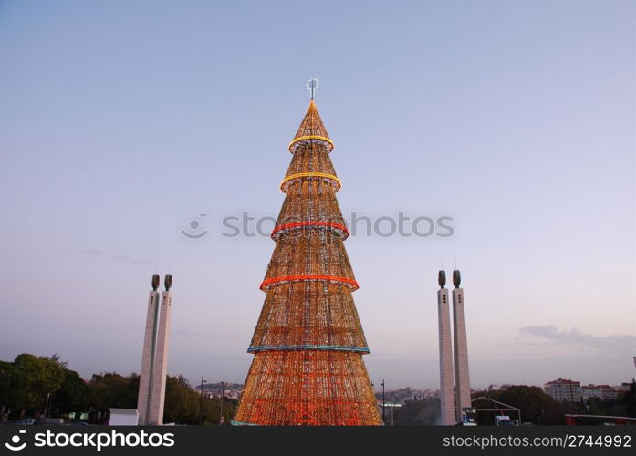 beautiful and tall Christmas tree in Lisbon