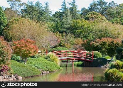 beautiful and tranquil japanese style garden with red bridge in toowoomba