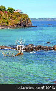 beautiful andilana beach seaweed in indian ocean madagascar mountain sand isle sky and rock