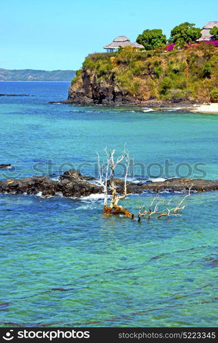 beautiful andilana beach seaweed in indian ocean madagascar mountain sand isle sky and rock