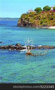 beautiful andilana beach seaweed in indian ocean madagascar mountain sand isle sky and rock