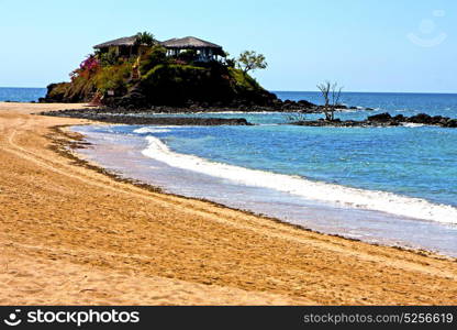 beautiful andilana beach seaweed in indian ocean madagascar mountain sand isle sky and rock