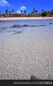 beautiful andilana beach seaweed in indian ocean madagascar mountain sand isle sky and rock people