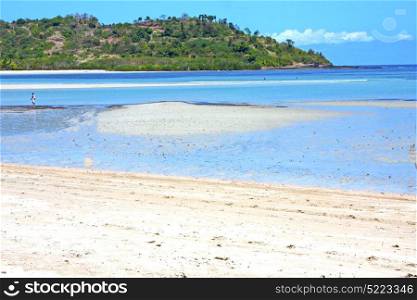 beautiful andilana beach seaweed in indian ocean madagascar mountain sand isle sky and rock people