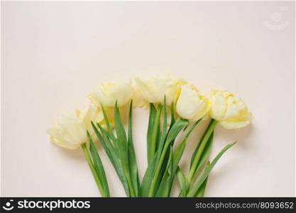 Beautiful arrangement of spring flowers. Yellow tulips flowers on a light background. Valentine’s Day, Easter, Birthday, Happy Women’s Day, Mother’s Day. Flat lay, top view, copy space