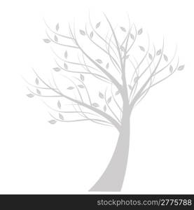 Beautiful art tree isolated on white background