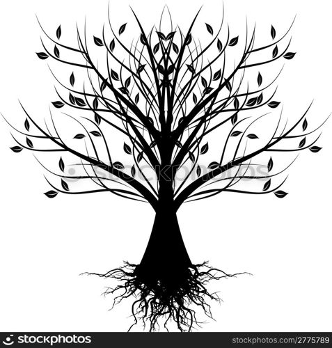 Beautiful art tree isolated on white background