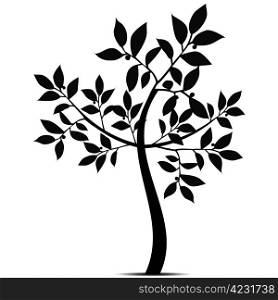 Beautiful art tree silhouette isolated on white background