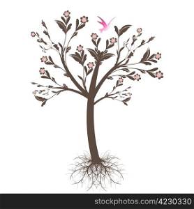 Beautiful art tree with roots isolated on white background