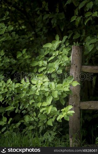 Beautiful artistic sunlit wooden fence post in English countryside landscape