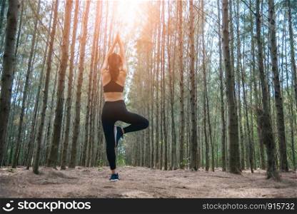 Beautiful Asian young woman standing and doing yoga in forest. Exercise and meditation concept. Pay obeisance or raise hand concept. Pine wood in summer theme. Back view