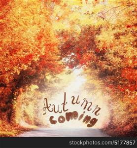 Beautiful autumn alley landscape with colorful fall foliage of trees ,sunlight and text Autumn coming, fall outdoor nature in park or country