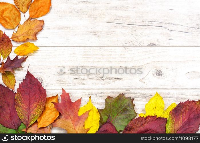 Beautiful autumn background - multicolored colored leaves on a wooden table with copy place.