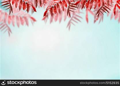 Beautiful autumn background with red foliage at sky background. Fall trees leaves border