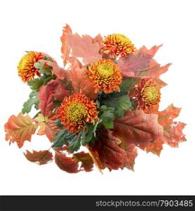 Beautiful autumn bouquet chrysanthemums with colored oak leaves white isolated
