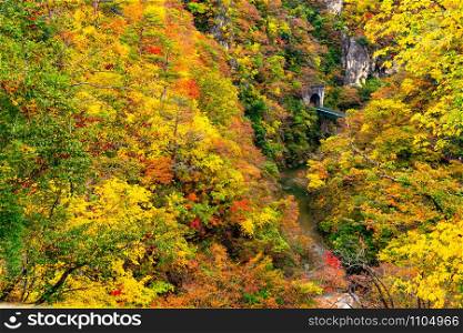 Beautiful autumn color at the Naruko Gorge with the colorful foliage on the mountain and railway come out the tunnel over the Naruko River in Naruko City, Miyagi Prefecture, Japan.