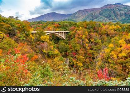 Beautiful autumn color of foliage at Naruko Gorge with Ofukazawa Bridge in the city of Naruko, Miyagi Prefecture, Japan.