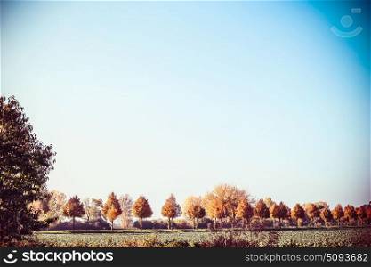 Beautiful autumn country landscape with trees, field and blue sky. Fall outdoor nature background