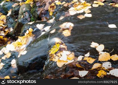 Beautiful autumn creek with a little cascade