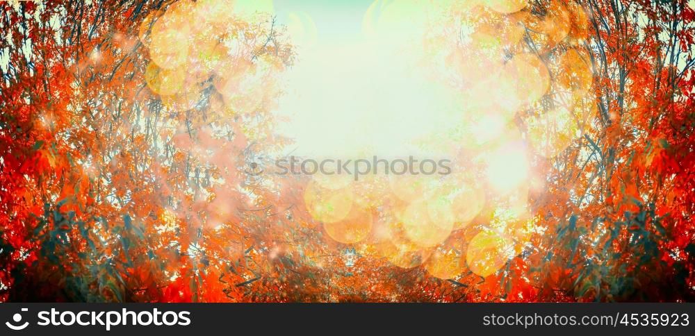 Beautiful autumn day with red fall foliage and sunlight, outdoor nature background, banner, frame