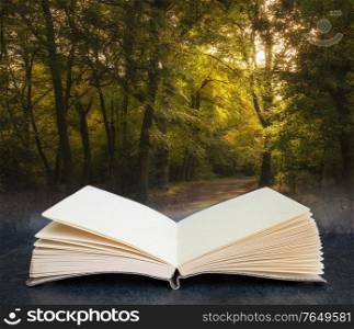 Beautiful Autumn Fall colorful vibrant forest landscape in pages of open fantasy book