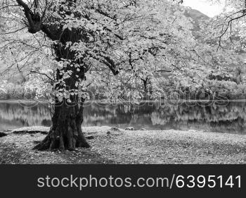 Beautiful Autumn Fall landscape image of Lake Buttermere in Lake District England