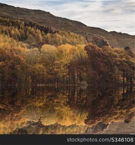 Beautiful Autumn Fall landscape image of wide countryside in Lake District in England