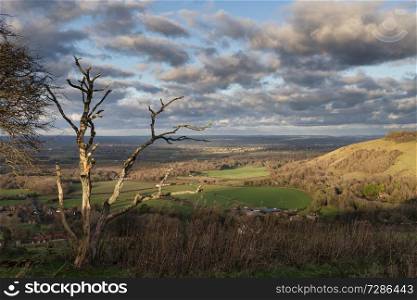 Beautiful Autumn Fall landscape of South Downs National Park in English countryside in late afternoon light on cold day