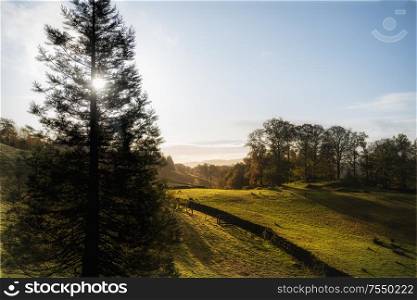 Beautiful Autumn Fall landscape of woodland in early morning light over English countryside