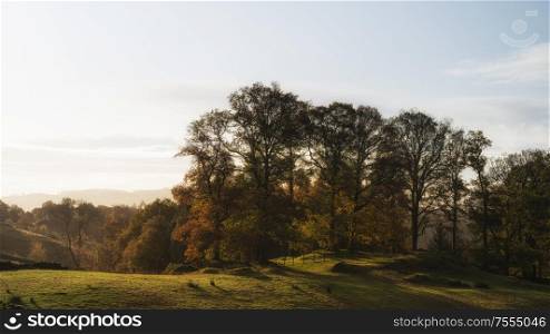 Beautiful Autumn Fall landscape of woodland in early morning light over English countryside