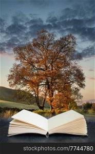 Beautiful Autumn Fall scenery landscape of countryside in Lake District coming out of pages in book composite image