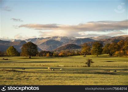 Beautiful Autumn Fall scenery landscape of countryside in Lake District with lovely golden light on trees and hills