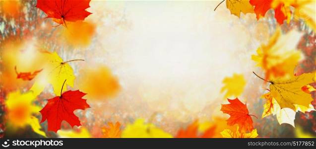 Beautiful autumn falling leaves on sunny day and sunlight, outdoor nature background, banner, frame