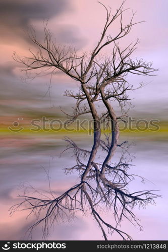Beautiful autumn fantasy trees and reflection by colorful sunset. Fantasy trees - 3D render