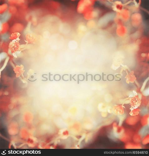 Beautiful autumn floral nature frame background with red orange garden or park flowers. Outdoor fall nature. Sunny day  with sunlight and bokeh. Place for your design, square