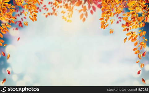 Beautiful autumn foliage background with brunches and falling tree leaves at sky with bokeh