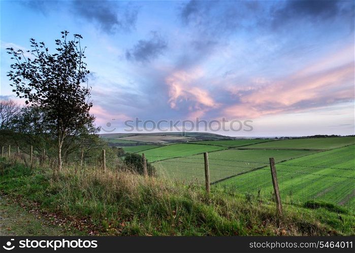 Beautiful Autumn forest and fields during sunrise landscape