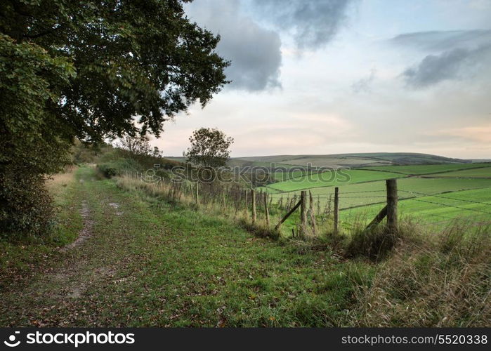 Beautiful Autumn forest and fields during sunrise landscape