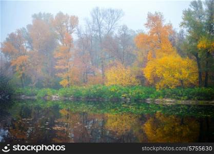 Beautiful autumn forest in the park with lake, yellow and red trees