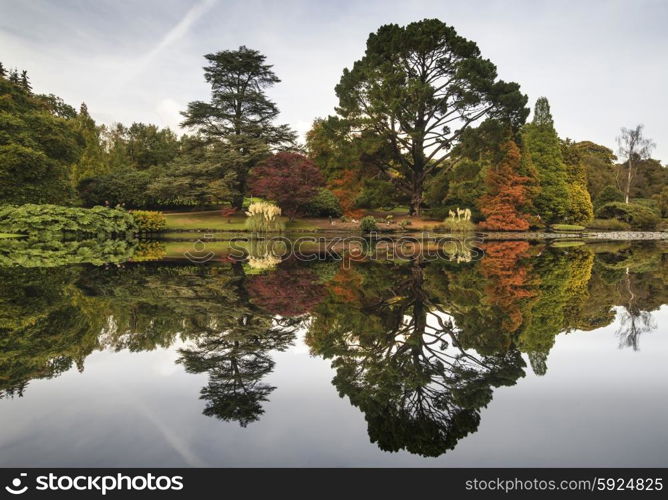 Beautiful Autumn forest landscape reflected in calm lake