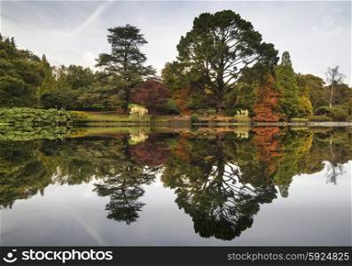 Beautiful Autumn forest landscape reflected in calm lake
