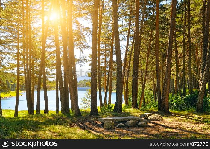Beautiful autumn forest lit by the bright rays of the sun. Through the branches of trees you can see the lake.