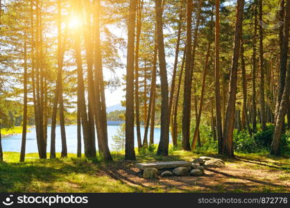 Beautiful autumn forest lit by the bright rays of the sun. Through the branches of trees you can see the lake.