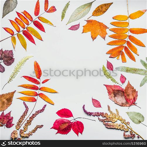 Beautiful autumn frame made of various colorful dried autumn leaves. Fall nature background, top view