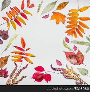 Beautiful autumn frame made of various colorful dried autumn leaves. Fall nature background, top view